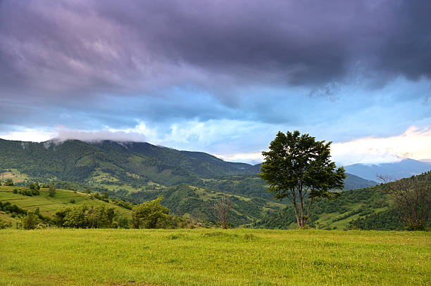istock Evening landscape in the mountains 179279030