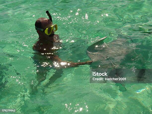 Stingray Füttern Stockfoto und mehr Bilder von Bora Bora-Atoll - Bora Bora-Atoll, Ehemalige französische Währung, Erwachsene Person