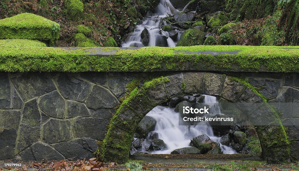 Mossy Ponte Pietra - Foto stock royalty-free di Oregon - Stato USA