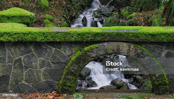 Mossy Ponte Pietra - Fotografie stock e altre immagini di Oregon - Stato USA - Oregon - Stato USA, Burrone, Ovest