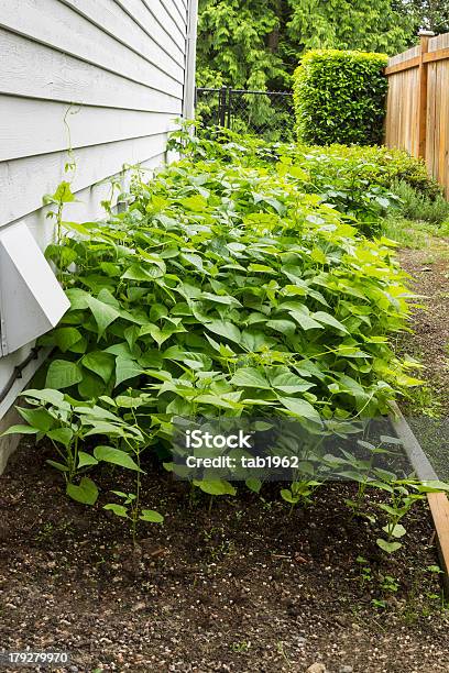 Casa Jardim Seguinte Para Casa - Fotografias de stock e mais imagens de Ao Ar Livre - Ao Ar Livre, Cerca, Cor verde