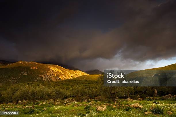 Foto de Paisagem e mais fotos de stock de Alimentação Saudável - Alimentação Saudável, Aprimoramento, Azeitona Calamata