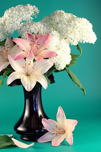 istock Flowers of  lily and   hydrangea 179280057