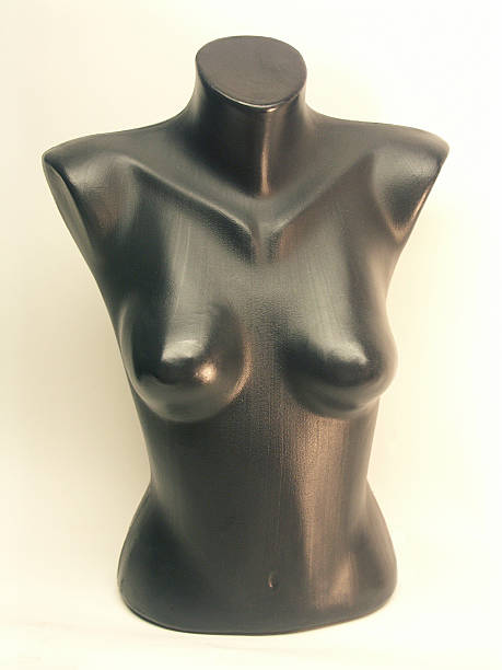 istock Mannequin torso of woman 179280448