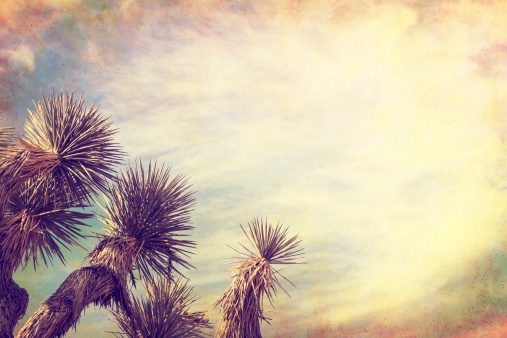 A Joshua tree in California's Mojave desert.  Image is done in a retro, vintage style with cross-processed colors and grunge paper textures.