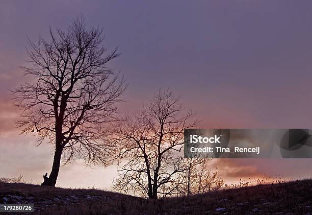 나무 실루엣 0명에 대한 스톡 사진 및 기타 이미지 - 0명, 겨울, 겨울나무