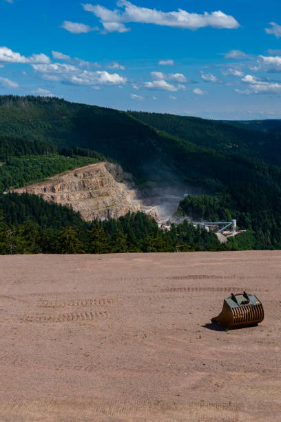 istock Deforestation in the Black forest of Germany 1792809365