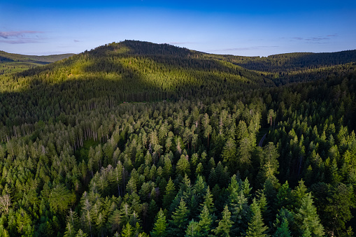 Cinematic Aerial view above the Black Forest of Germany at sunrise