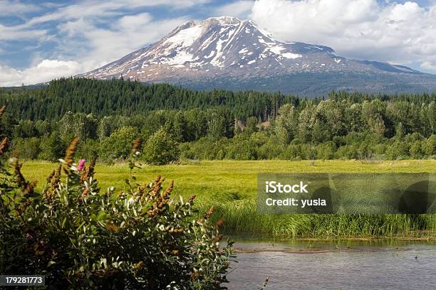 Monte Adams Foto de stock y más banco de imágenes de Agua - Agua, Aire libre, Arbusto