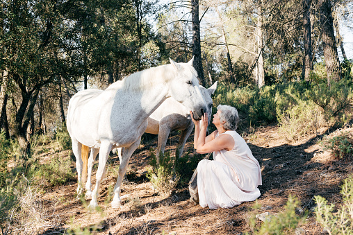 Side view of gray haired mature female owner sitting on dry pine forest in countryside with green trees in daylight and peting standing horse
