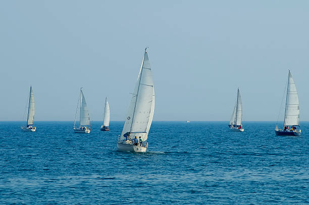 istock Group Of Sailboats 179282229