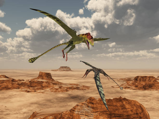 istock Pterosaurs Peteinosaurus and Rhamphorhynchus over a desert landscape 1792823146