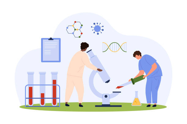 ilustrações de stock, clip art, desenhos animados e ícones de medical blood test in laboratory, hematology, tiny people check sample with microscope - blood red blood cell blood cell blood sample