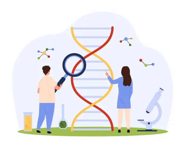 Vector illustration of Gene research, DNA and genetic test in laboratory by tiny people with magnifying glass