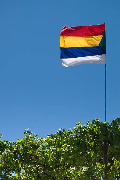 bandera druze de grapevine planta - druze fotografías e imágenes de stock