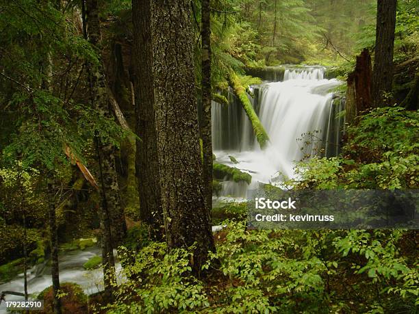 Photo libre de droit de Série De Cascades Dans Lucious Vert Forêt banque d'images et plus d'images libres de droit de Arbre - Arbre, Beauté, Beauté de la nature