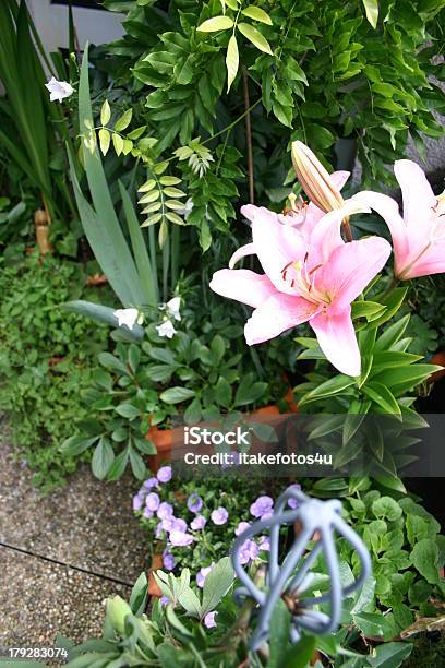 Balkon Mit Blumen Stockfoto und mehr Bilder von Blumentopf - Blumentopf, Lilien, Ackerwinde