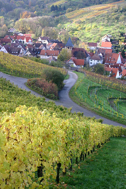istock Autumn view over german wine village - 4 179283304
