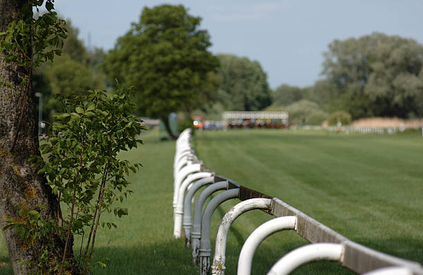 istock pferderennen, horse race, turf 179283667
