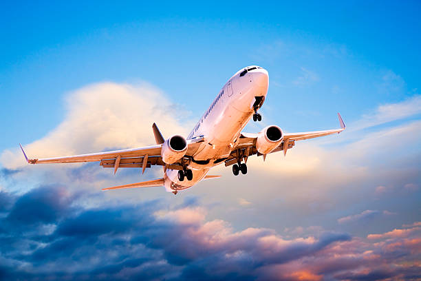 istock Jet Aeroplane Landing from Bright Moody Sunset Sky 179284159