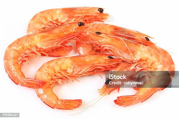 Rei Prawns - Fotografias de stock e mais imagens de Camarão-tigre-gigante - Camarão-tigre-gigante, Fundo Branco, Camarão - Marisco