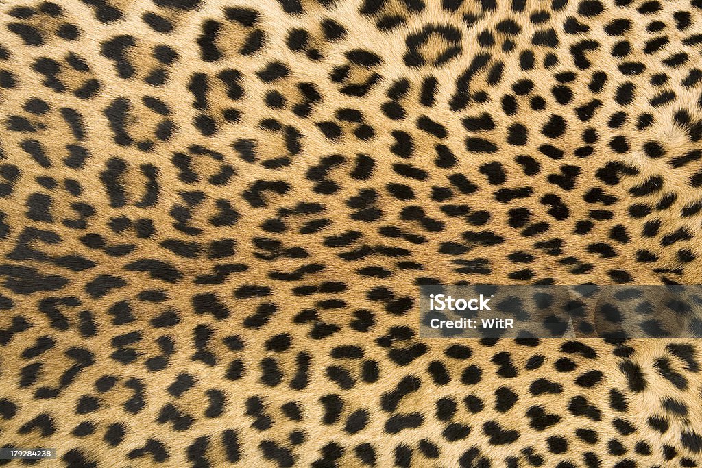 Textura de Pele de Leopardo 2 - Foto de stock de Pele de Leopardo royalty-free