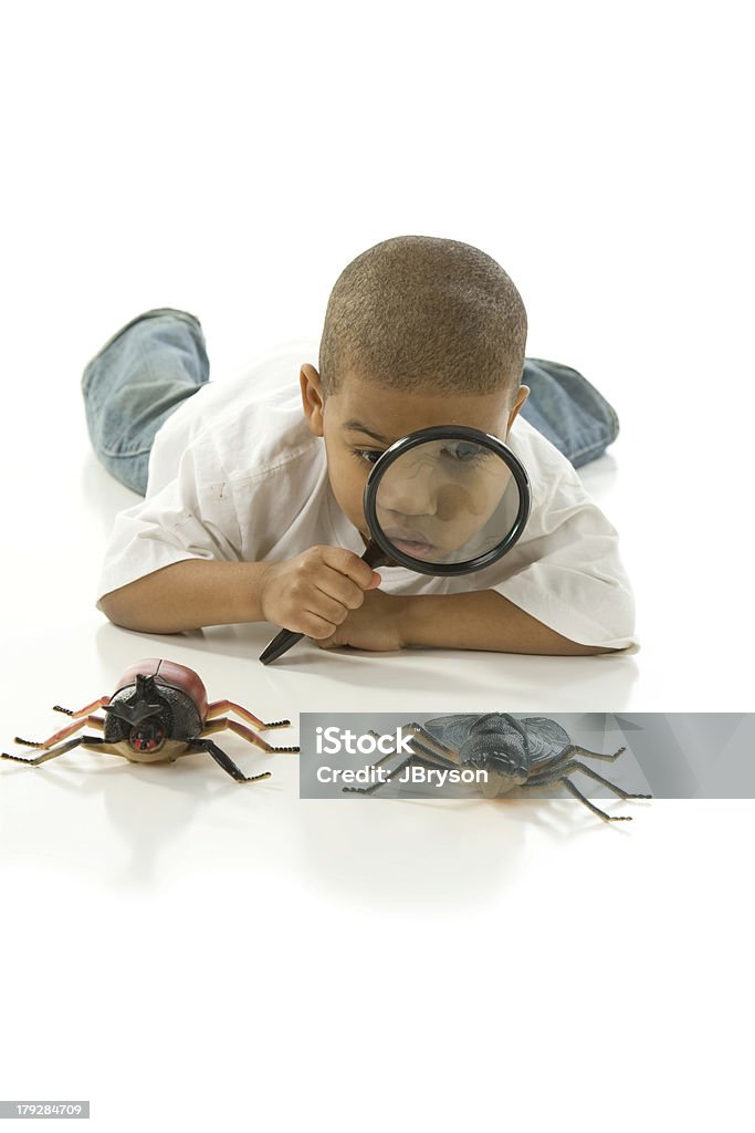 Curioso piccolo ragazzo esamina bug - Foto stock royalty-free di Insetto