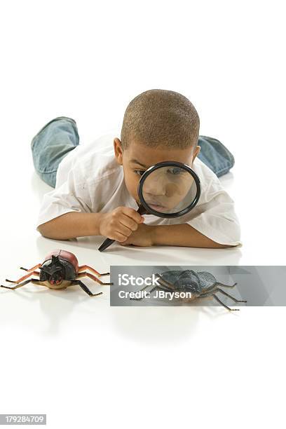 Curioso Piccolo Ragazzo Esamina Bug - Fotografie stock e altre immagini di Insetto - Insetto, Bambino, Lente d'ingrandimento