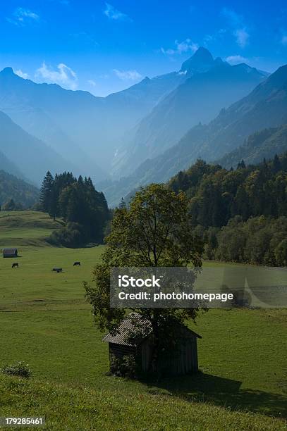 Szczyt Górski W Alpy Bawarskie - zdjęcia stockowe i więcej obrazów Allgäu - Allgäu, Alpy, Bawaria