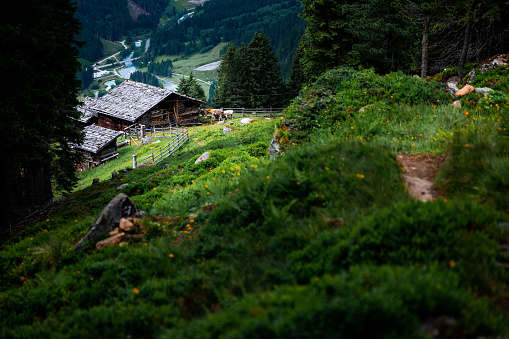 Stubai, Austria - July 2, 2021: A wide shot of a hut standing beneath the Falbesoner Nockalm alpine guesthouse in Stubaital, close to the Stubaier glacier. It sits in a popular tourism and sporting destination. 
Taken during the Stubai Ultratrail competition in July of 2021. The athletes pass close to this scenic location on their way to the summit of the Stubai glacier, a premier destination in the Austrian alps.
