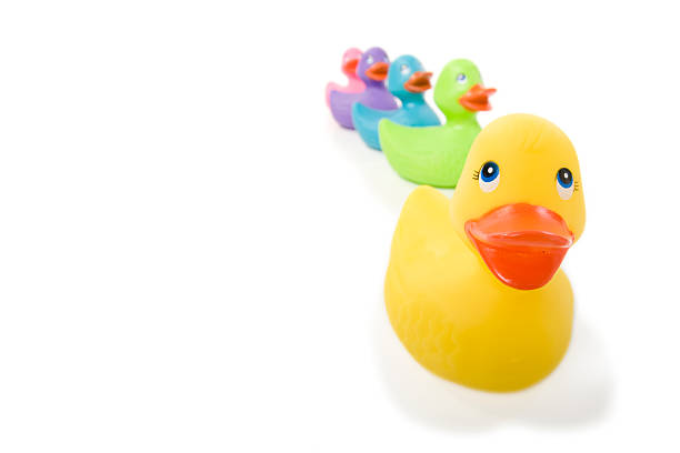 istock Rubber Duckie and His Followers 179287142