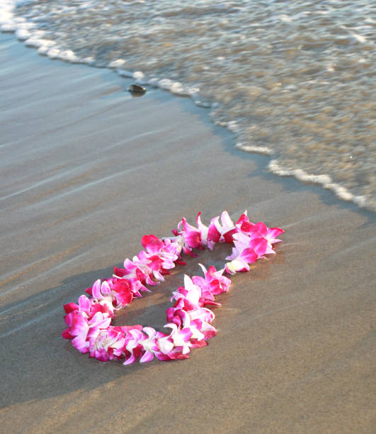 istock Hawaiian Orchid Lei 179287458
