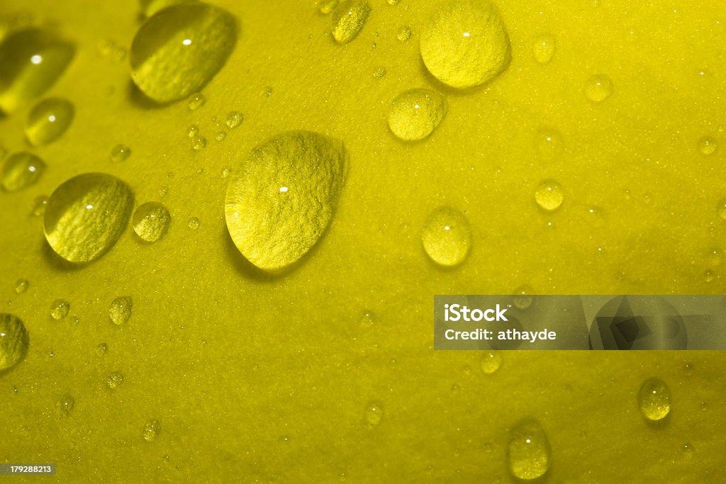 Gotas de água na folha - Royalty-free Amarelo Foto de stock