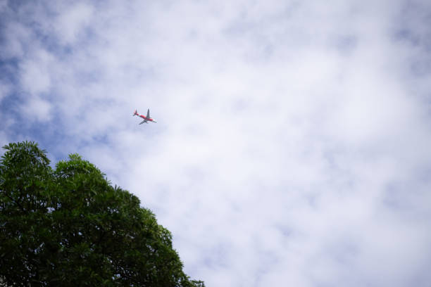 istock The clear sky saw the plane above the big tree 1792883566