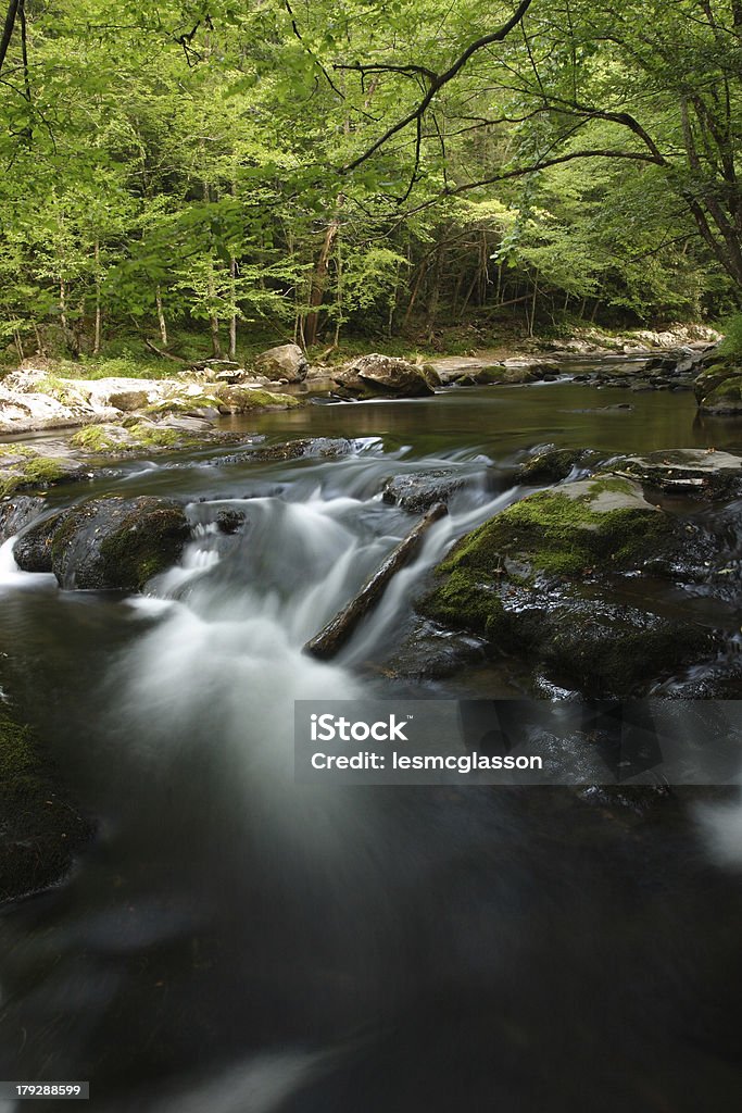 Smoky Mountain Stream - Foto de stock de Agua libre de derechos