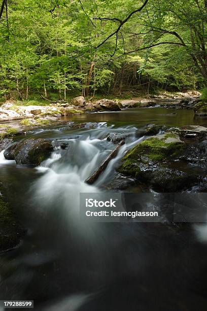Smoky Mountain Stream Foto de stock y más banco de imágenes de Agua - Agua, Aire libre, Appalachia