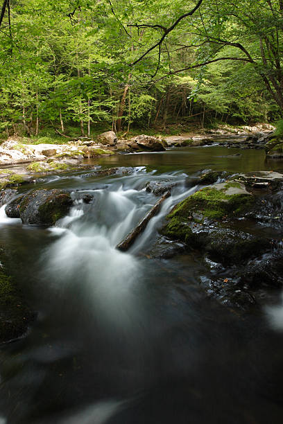 Smoky Mountain Stream Long exposure of small cascade in the Middle Prong of the Little River above Tremont. tremont stock pictures, royalty-free photos & images