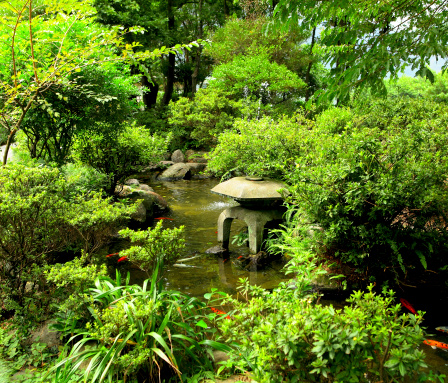 Japan - Kyoto - Maruyama Park