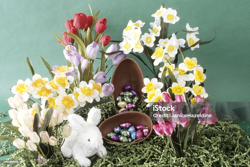 Huevo de Chocolate con flores y conejito - Foto de stock de Alegre libre de derechos