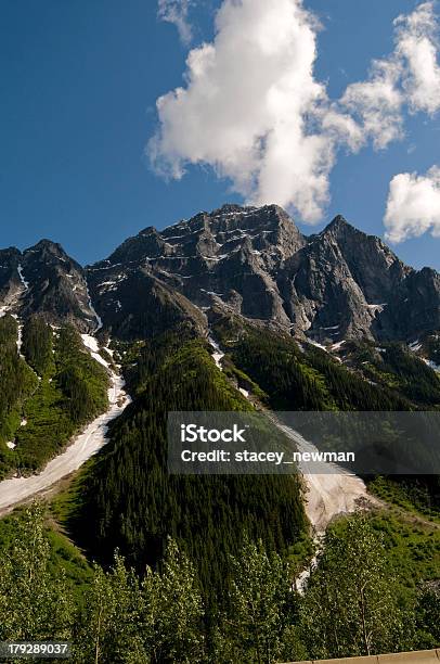 Picco A Glacier National Park Bc - Fotografie stock e altre immagini di Alberato - Alberato, Montagne Rocciose, Albero sempreverde