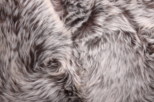 istock Synthetic fur background making varied shapes 1792891875
