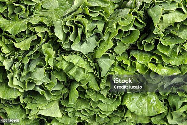 Collard Greens Stock Photo - Download Image Now - Leaf, Smooth, Agricultural Fair