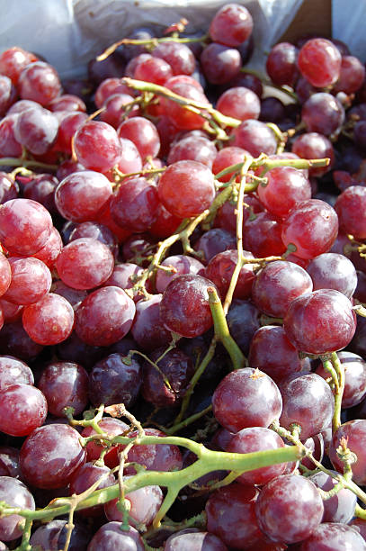 Fresh seedless red grapes stock photo