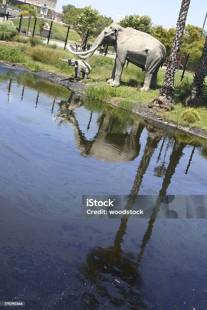 La Brea Tar Pits - Foto de stock de Alquitrán libre de derechos