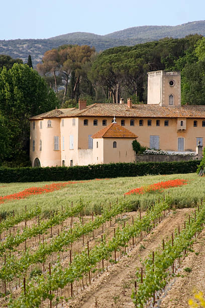460+ Parco Nazionale Del Luberon Foto stock, immagini e fotografie