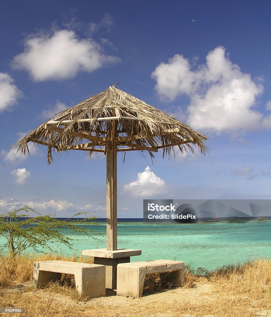 Espace de repos à Paradies - Photo de Arbre libre de droits