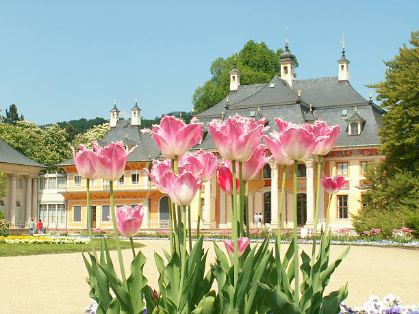 castelo de pillnitz em dresden - englischer garten - fotografias e filmes do acervo