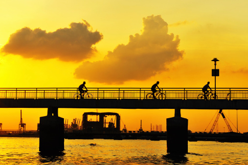 people cycling in the sunset