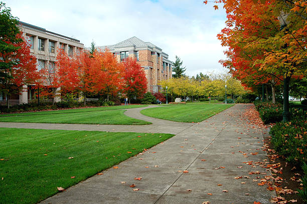 campus universitario in autunno - campus autumn walking university foto e immagini stock