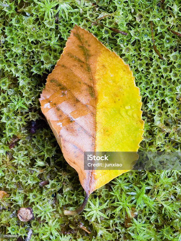 Yin Yang - Foto stock royalty-free di Acqua